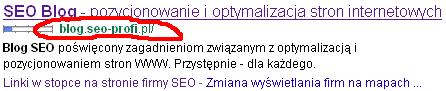 zmiana-wyswietlania-adresow-url-google-blog-seo-profi